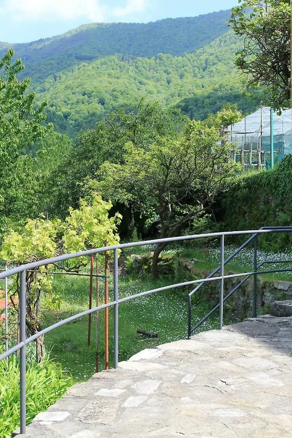 Casa Delle Rose Villa Faggeto Lario Italy