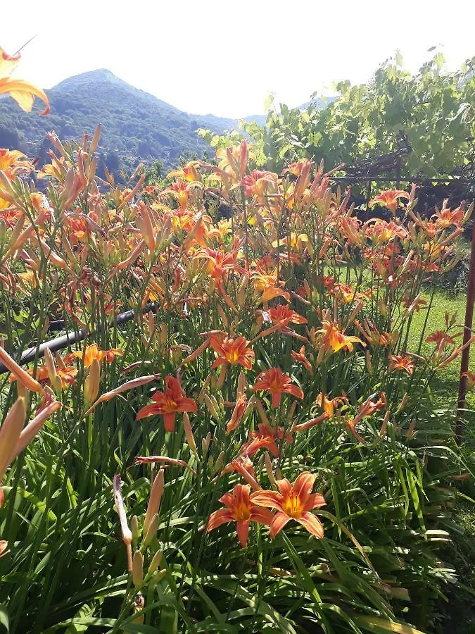 Tatil Evi Casa Delle Rose Villa Faggeto Lario
